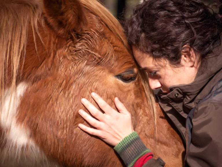Equine Therapy for Addiction—What to Expect
