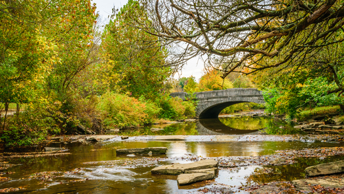 Outdoor enthusiasts will appreciate Louisville's many parks and green spaces, including Cherokee Park and Louisville Waterfront Park.