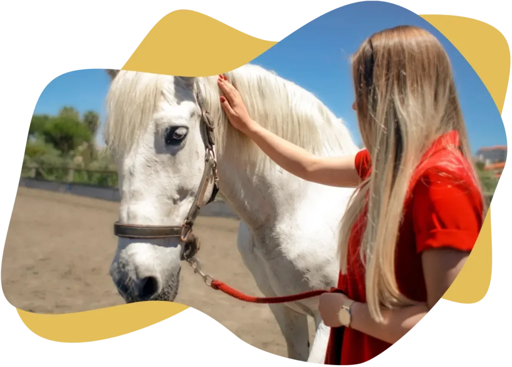 Equine therapy in Louisville