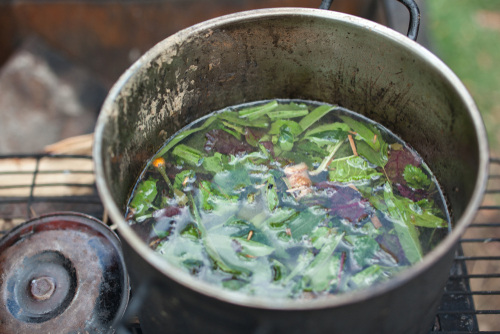 ayahuasca tea