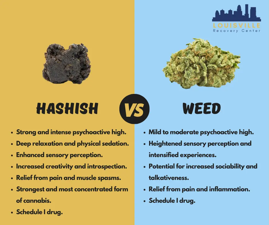 Hashish vs Weed