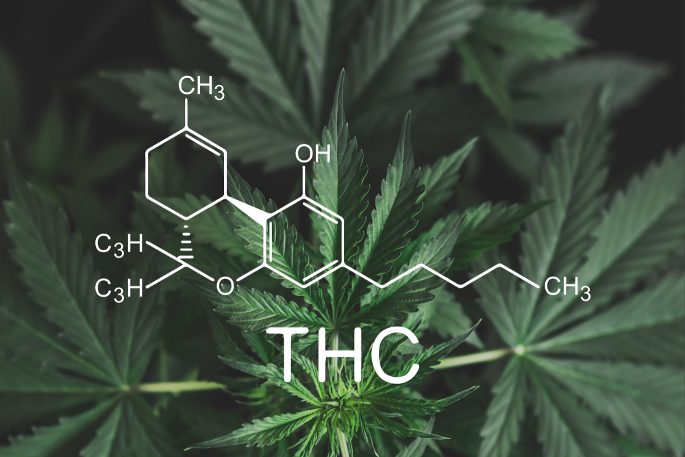 Most people who smoke cannabis, eat edibles, or consume THC in any form usually describe the high as relaxing and peaceful, which sounds like other depressants like opioids and benzodiazepines.