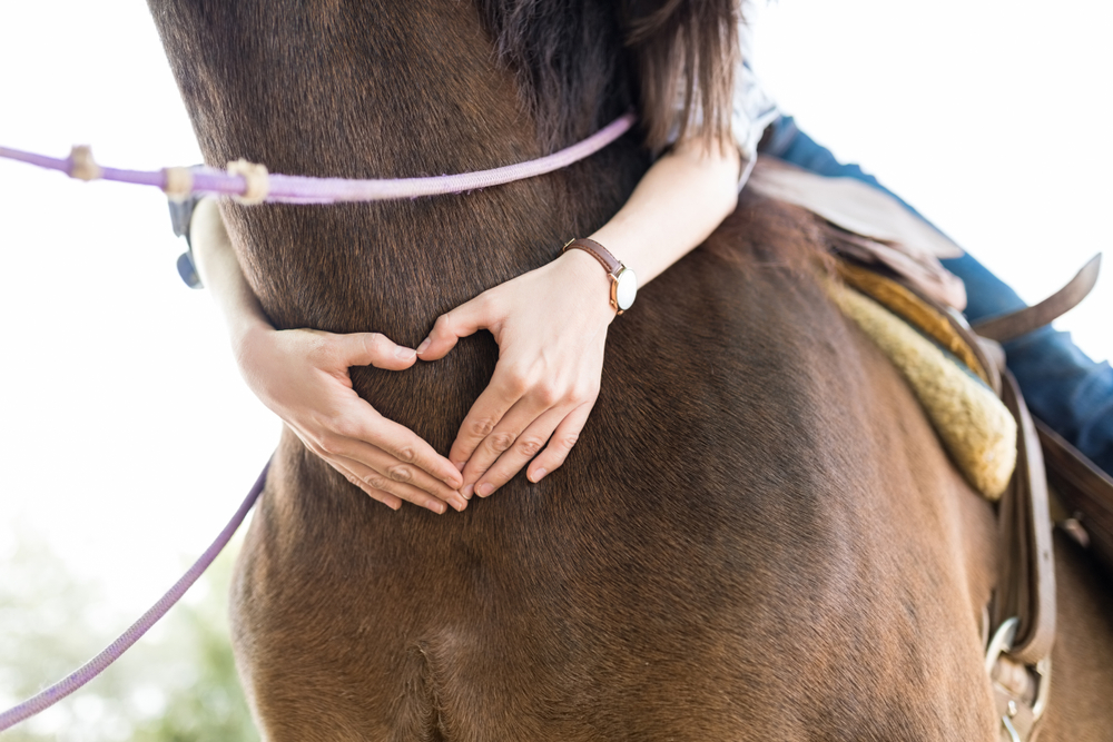 How does equine therapy help in recovery?